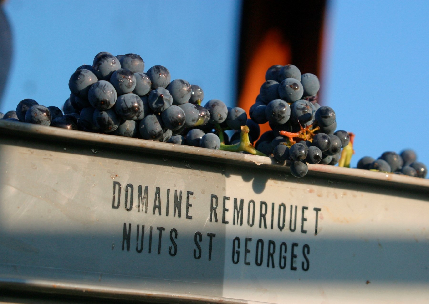 DOMAINE REMORIQUET