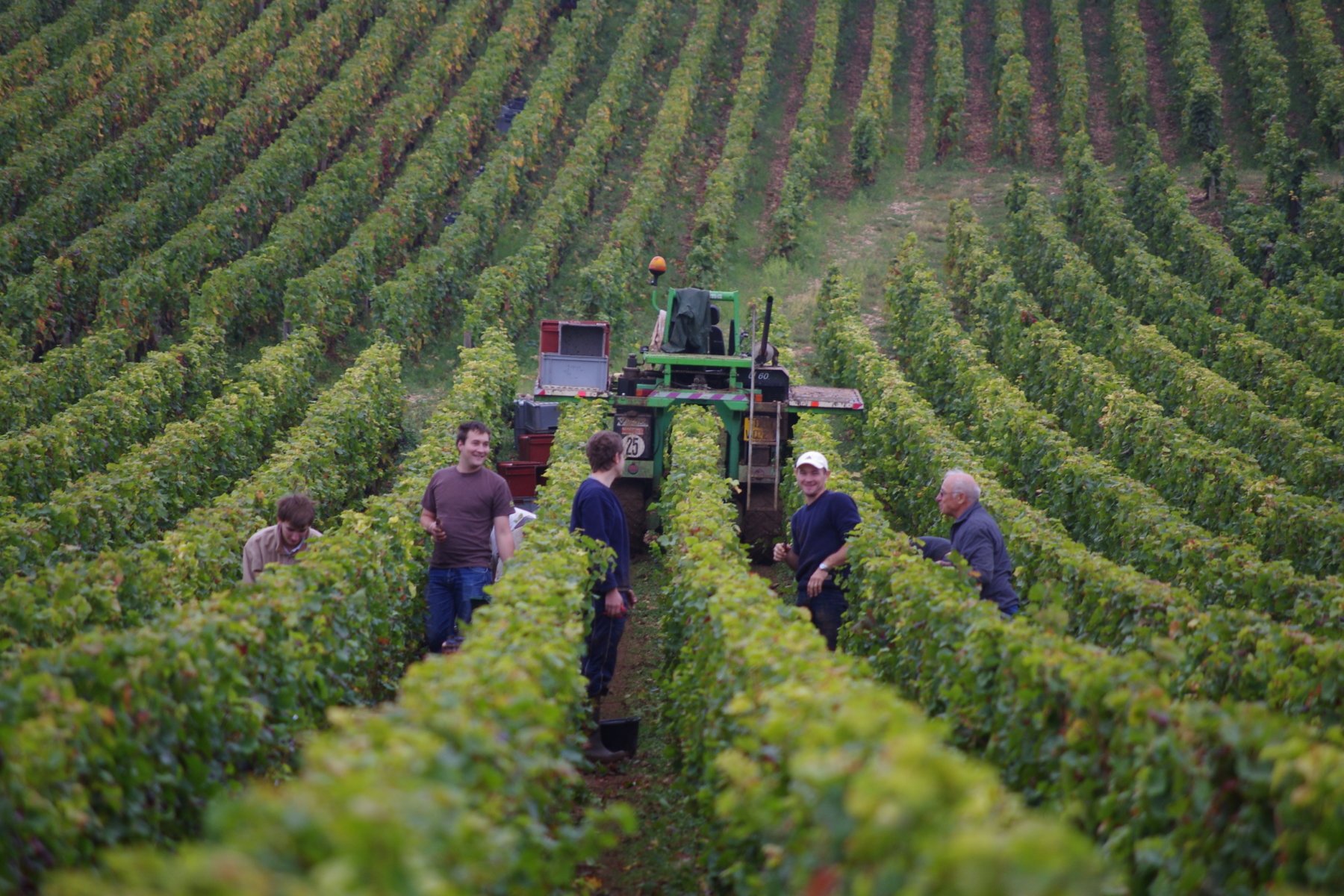 DOMAINE STÉPHANE MAGNIEN