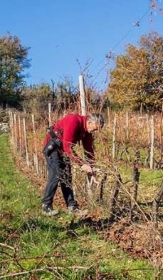 DOMAINE DENIS FOUQUERAND ET FILS