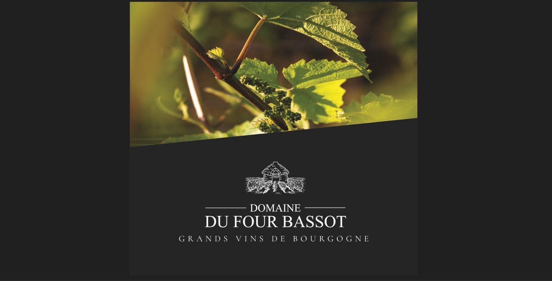 DOMAINE DU FOUR BASSOT