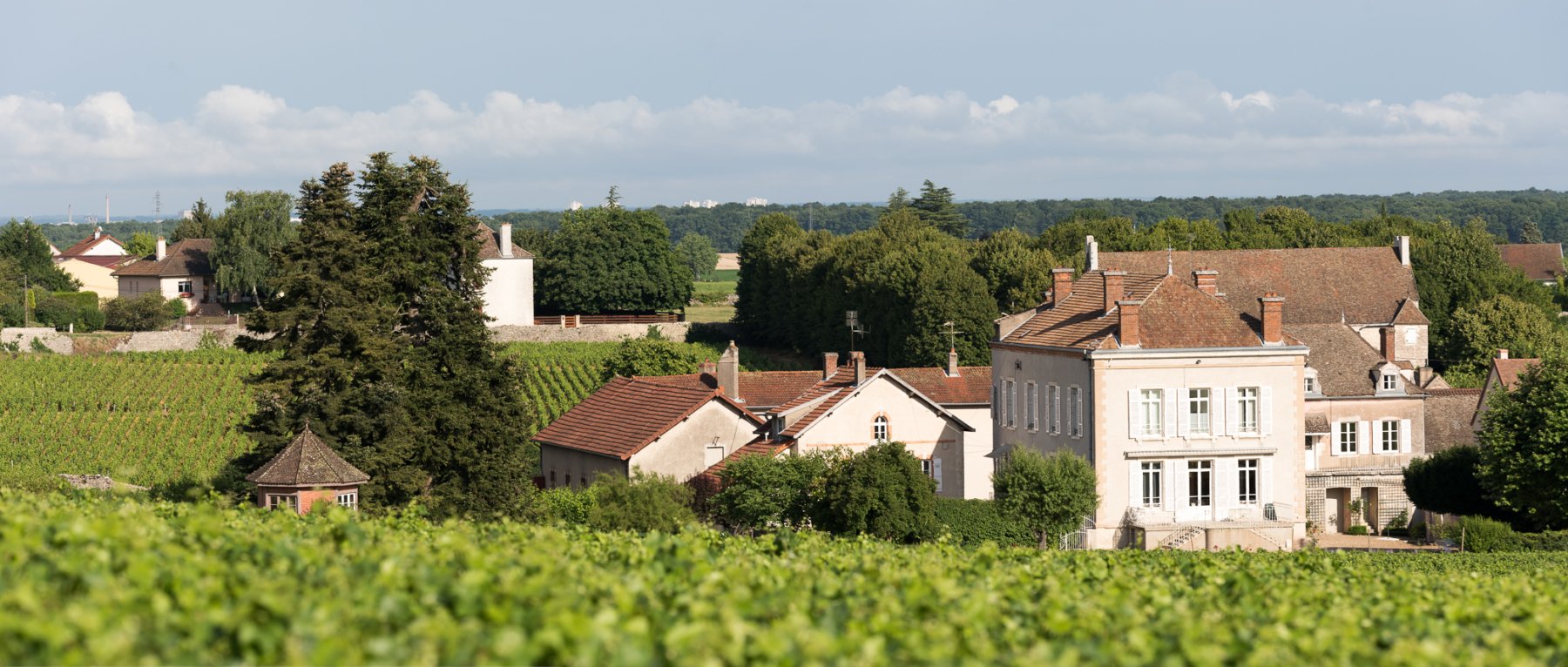 DOMAINE JEANNIN-NALTET