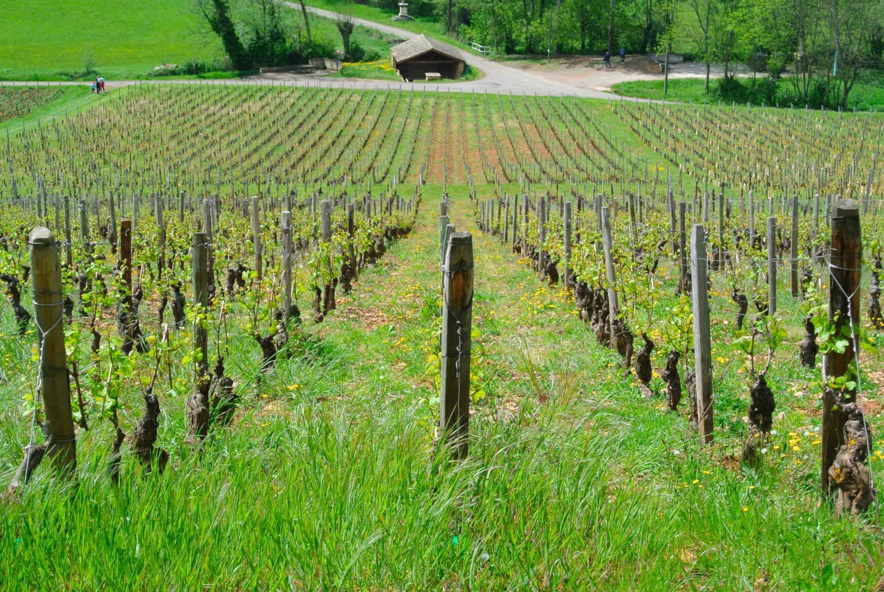 DOMAINE FABRICE LAROCHETTE