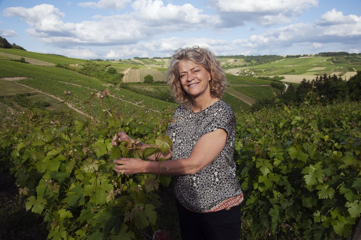 DOMAINE CLOTILDE DAVENNE