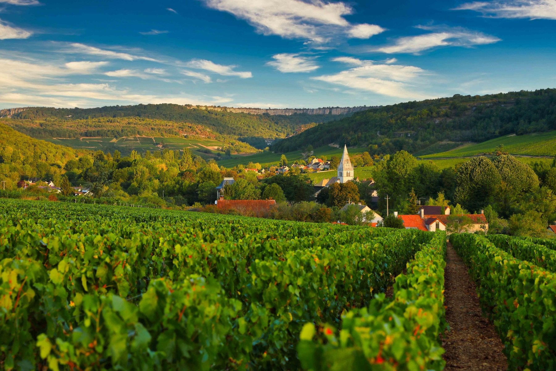 DOMAINE LAFOUGE