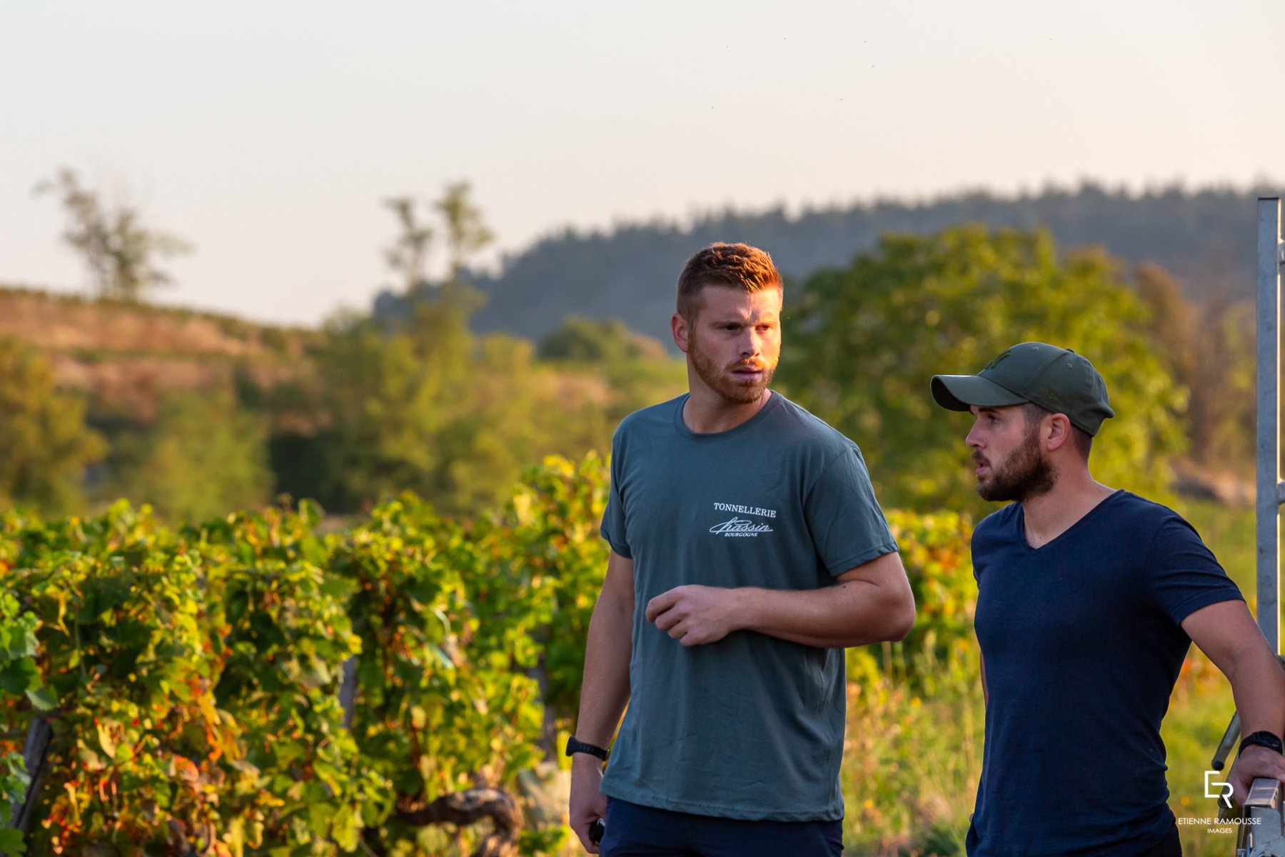 DOMAINE PILLOT LAURENT &#038; ROMAIN