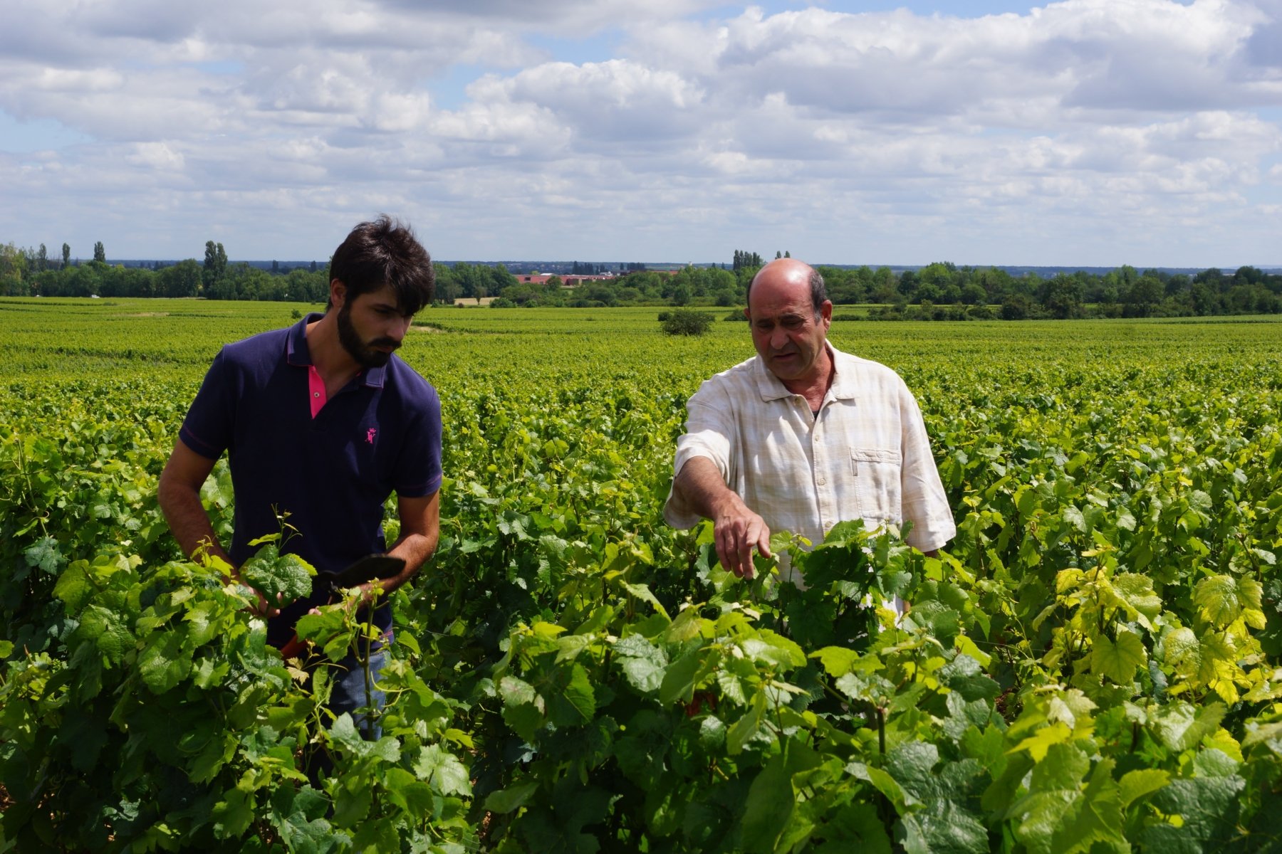 DOMAINE ROSSIGNOL-CORNU