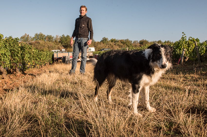 DOMAINE BORIS CHAMPY