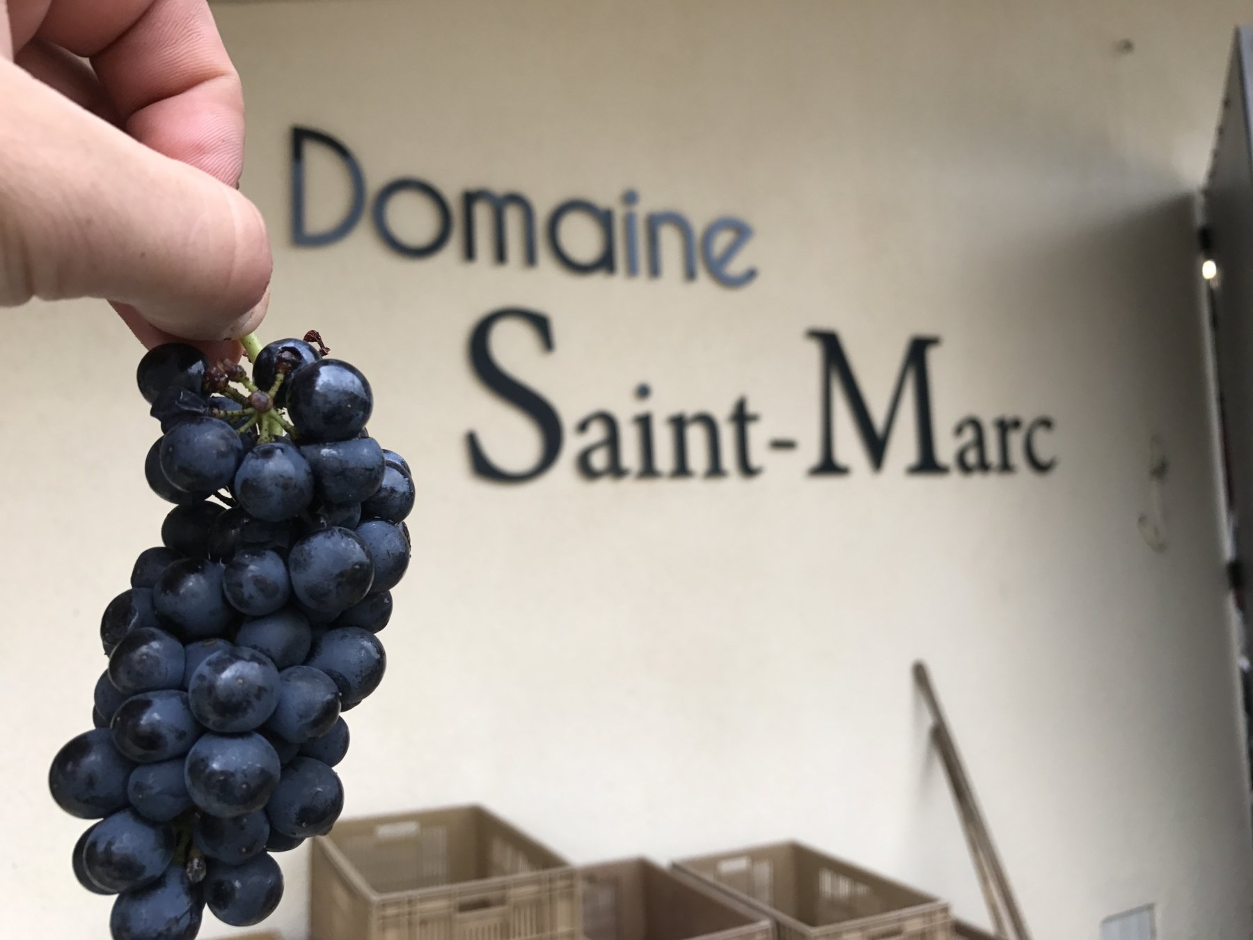 DOMAINE SAINT-MARC