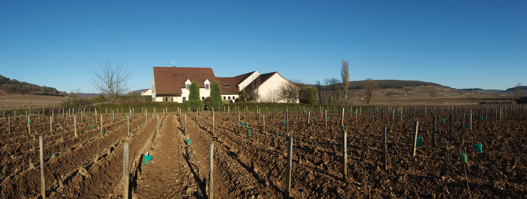 DOMAINE DU PRIEURÉ