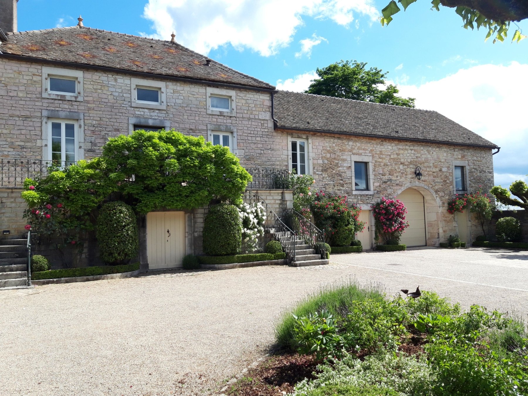 DOMAINE MICHÈLE ET PATRICE RION